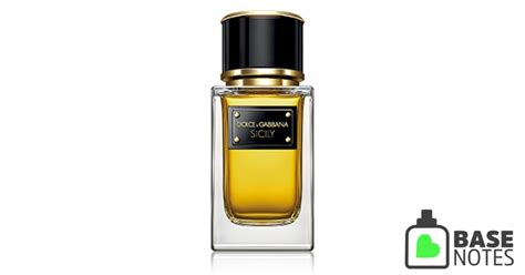 Sicily by Dolce & Gabbana– Basenotes